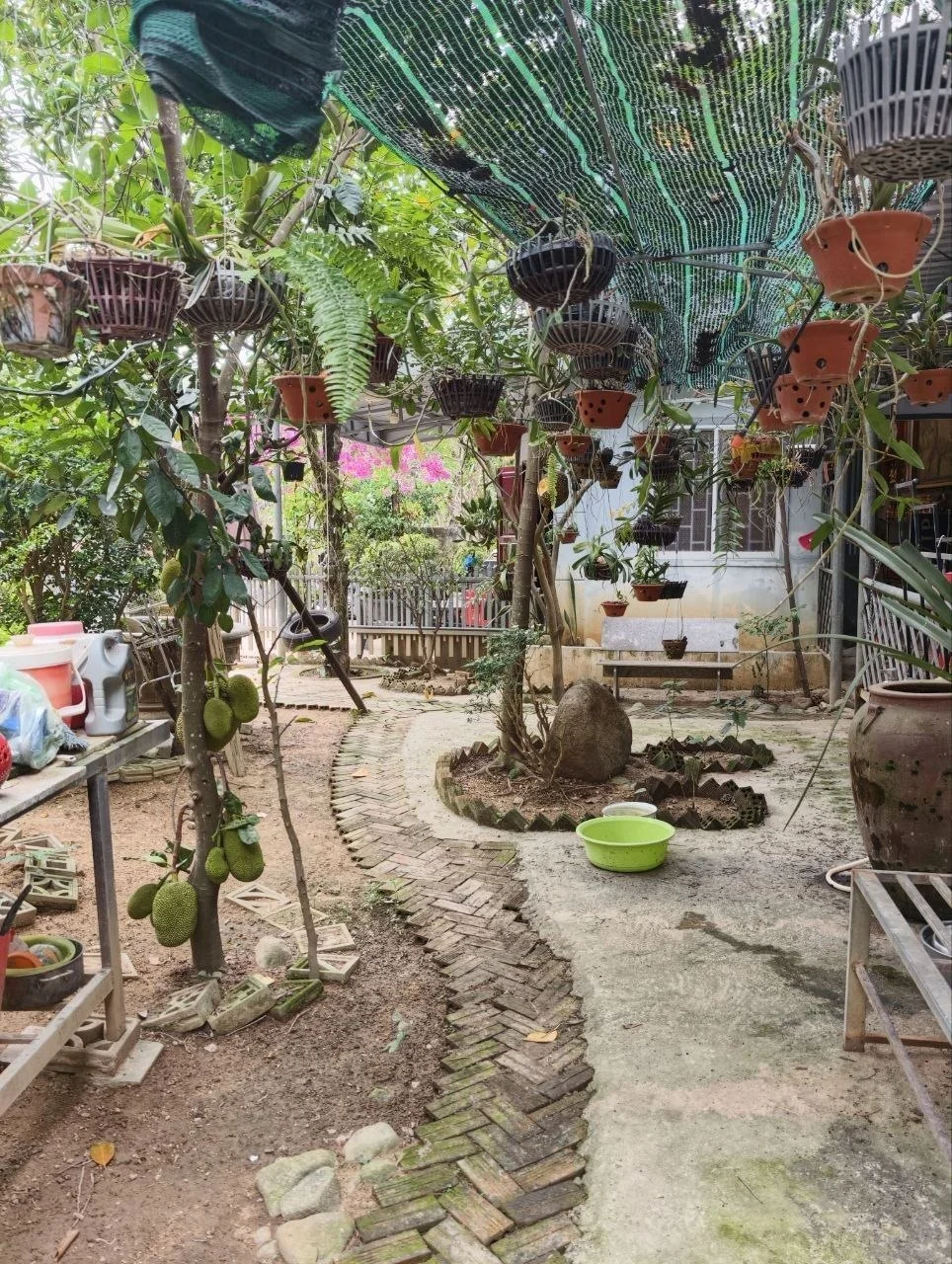 Изображение 7