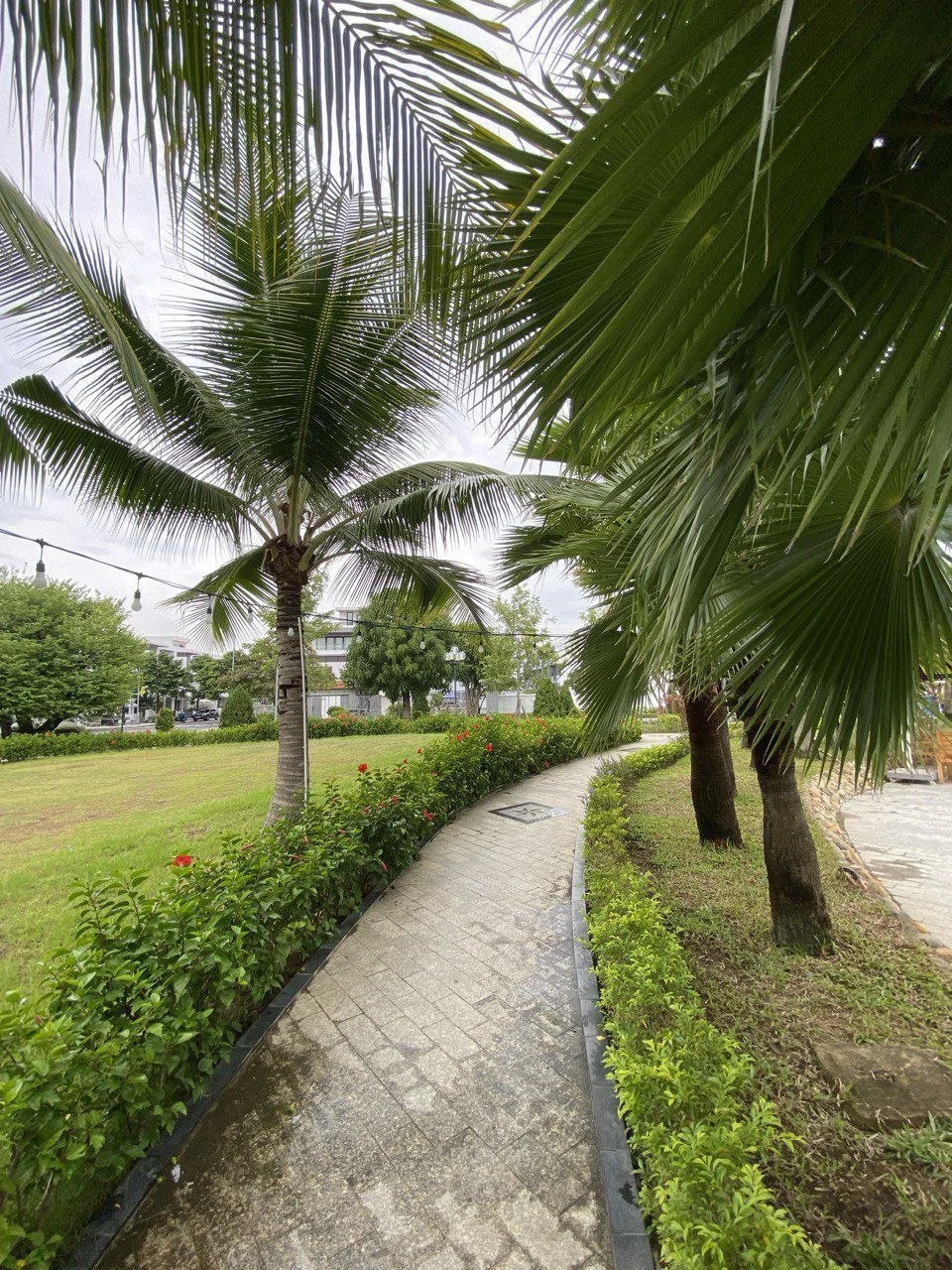 Изображение 9