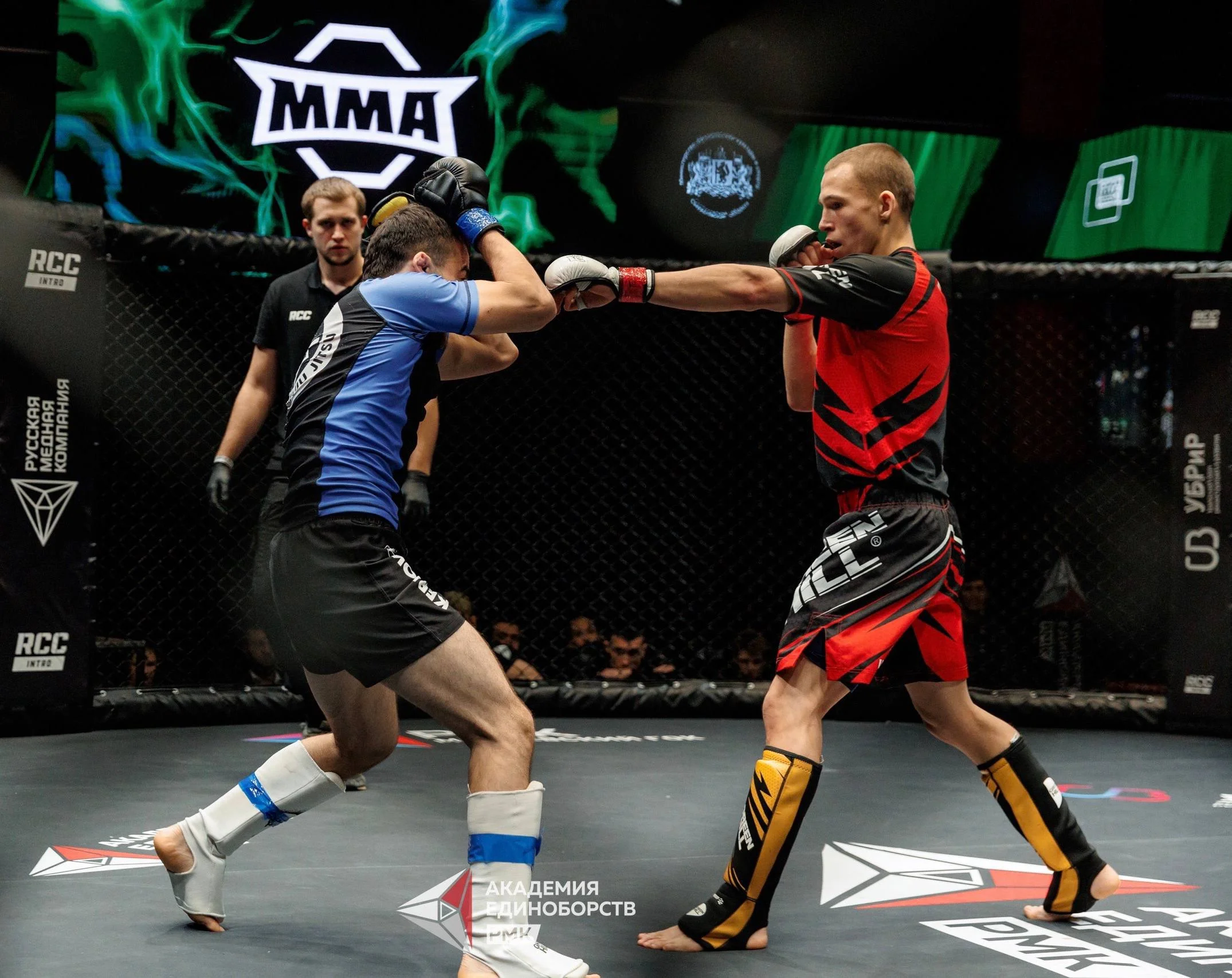 Изображение 2