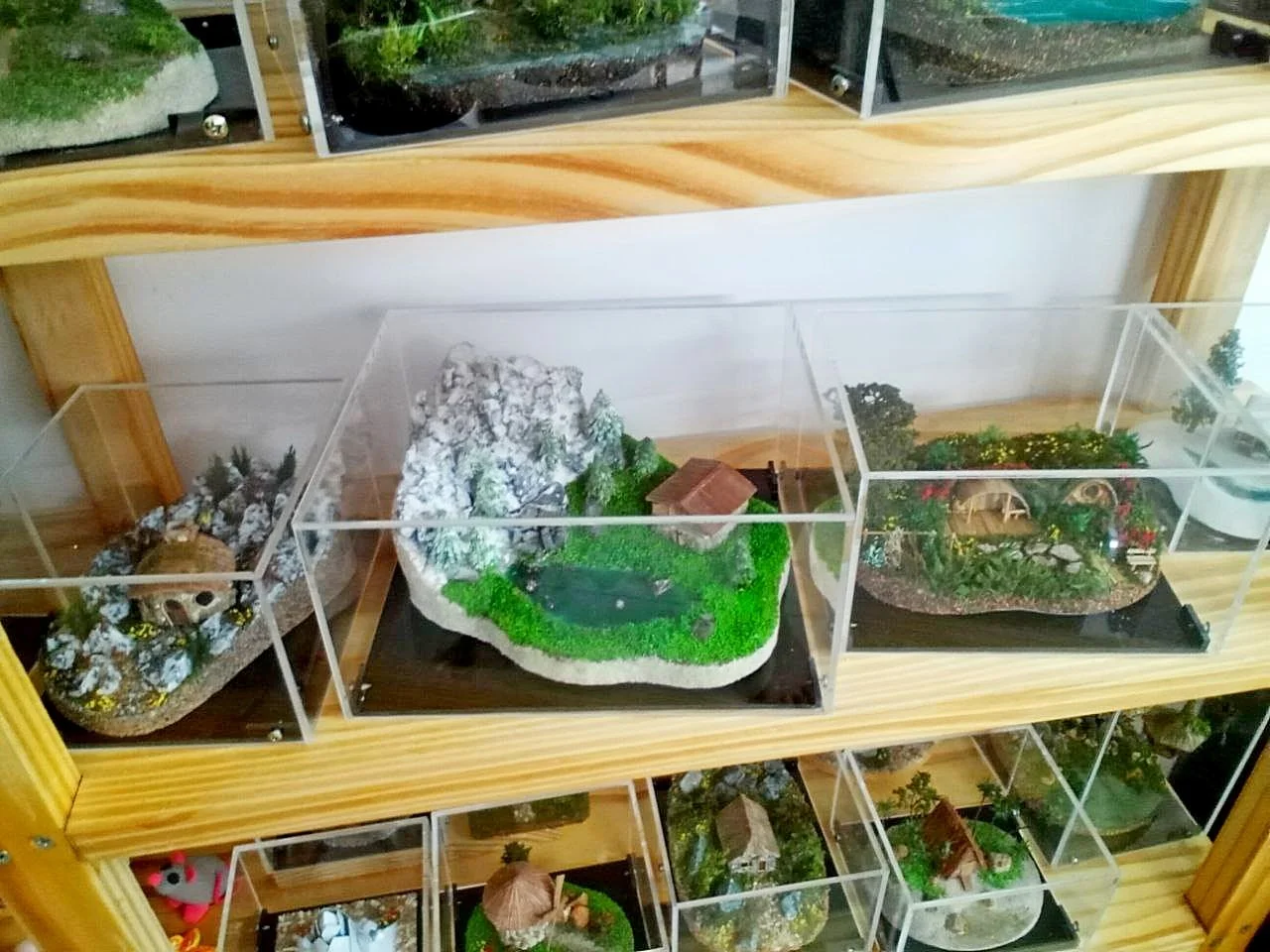 Изображение 3