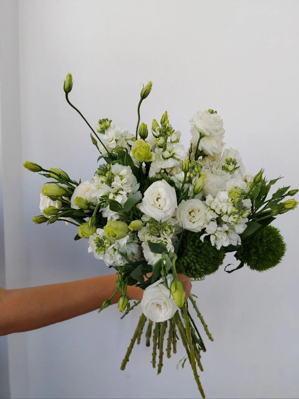 Изображение 5