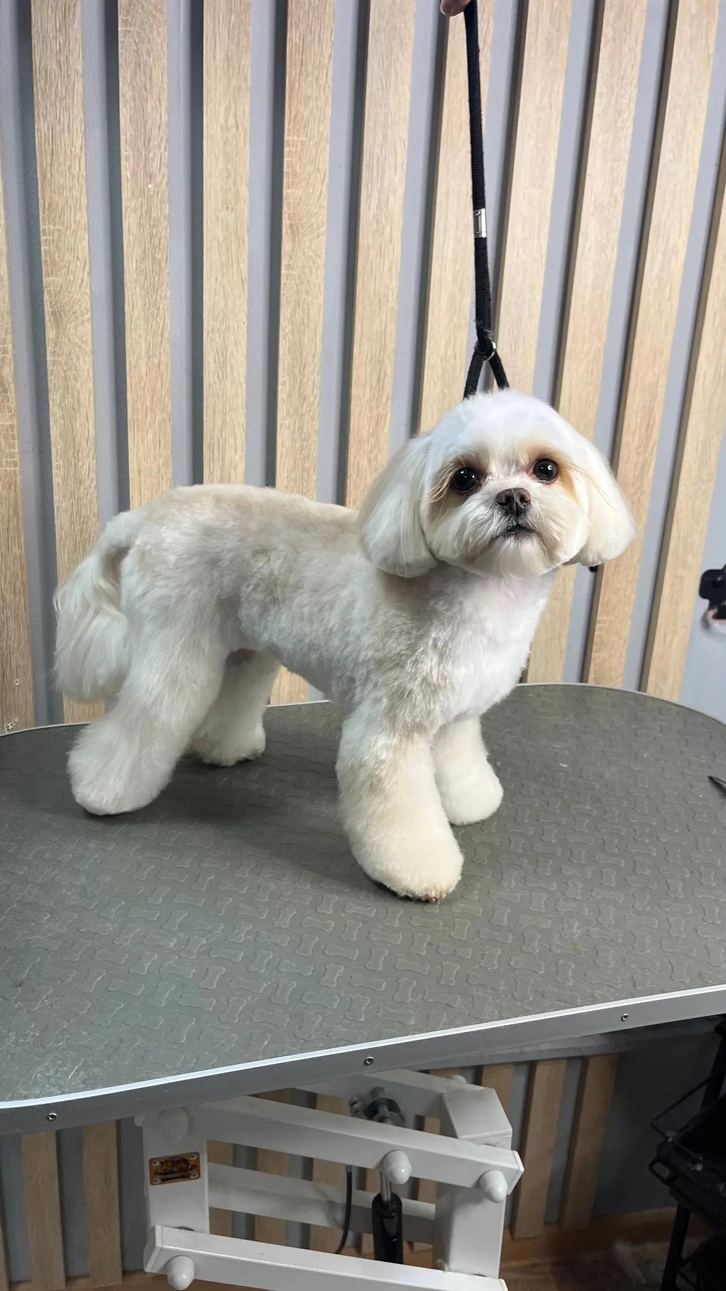 Изображение 4