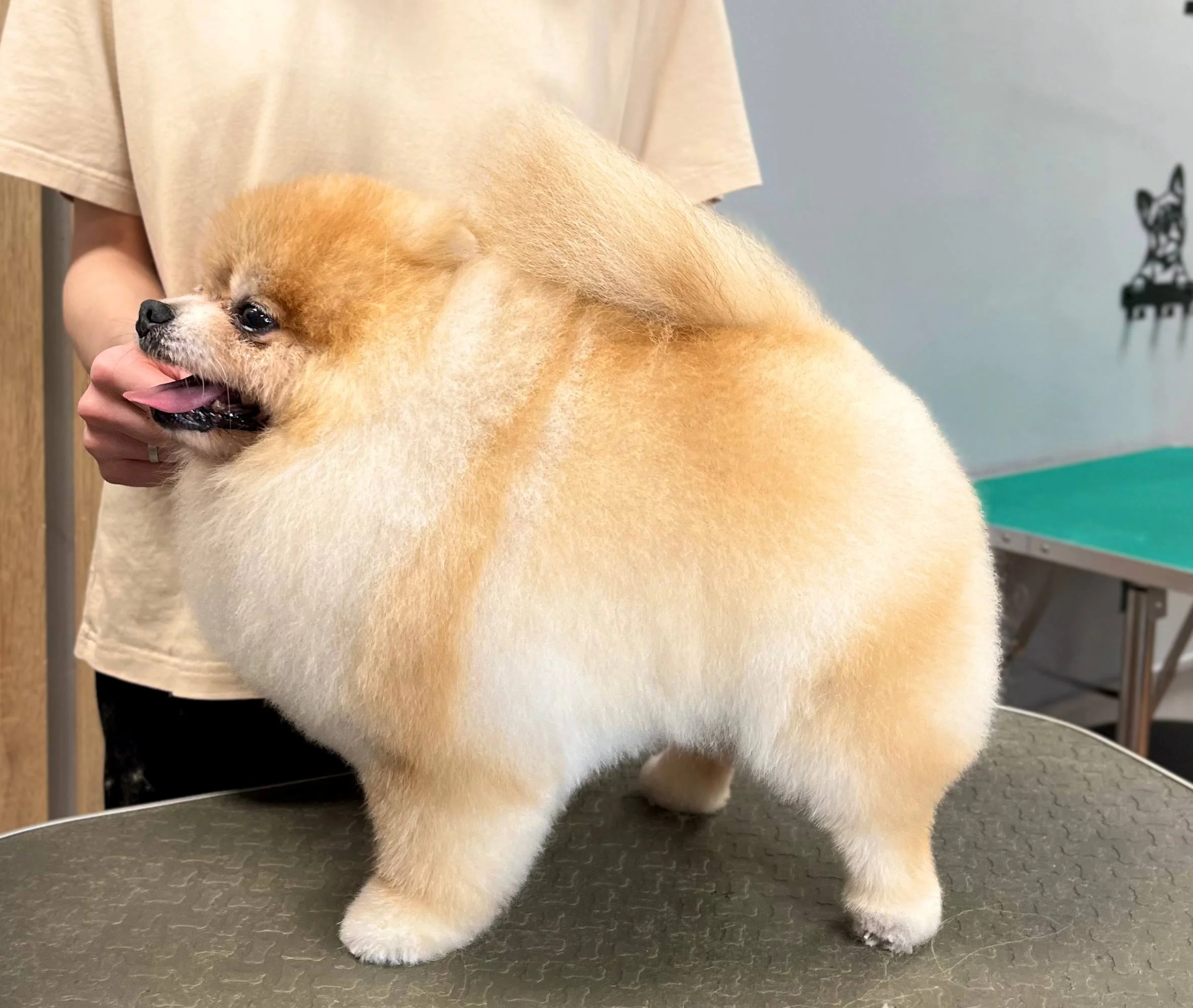 Изображение 6