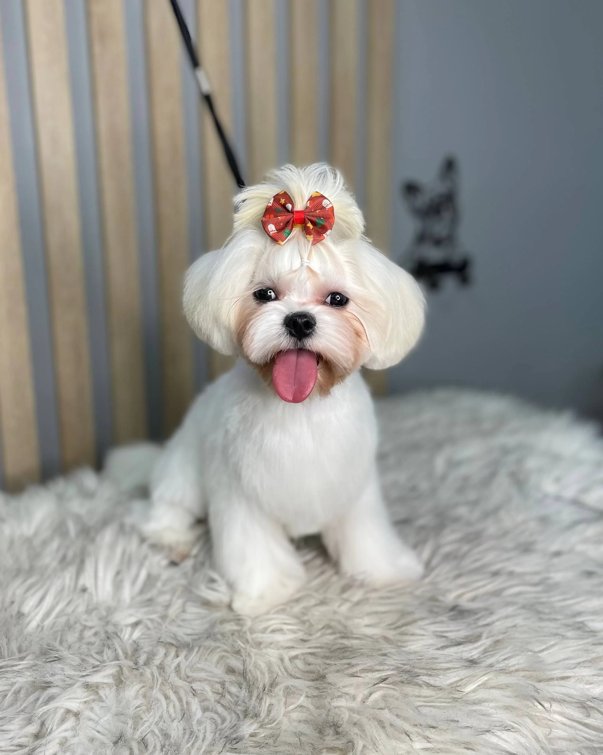 Изображение 7