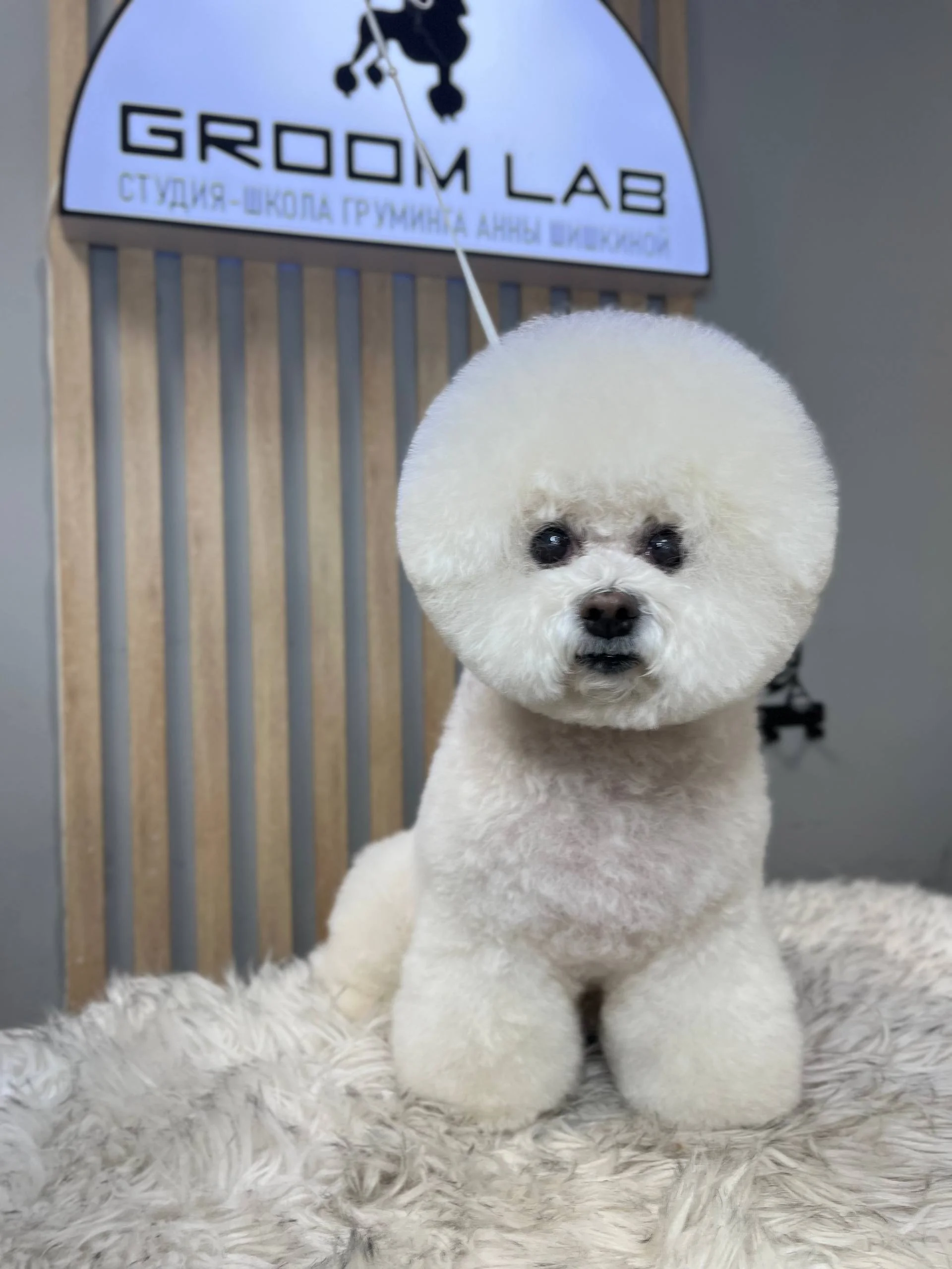 Изображение 8