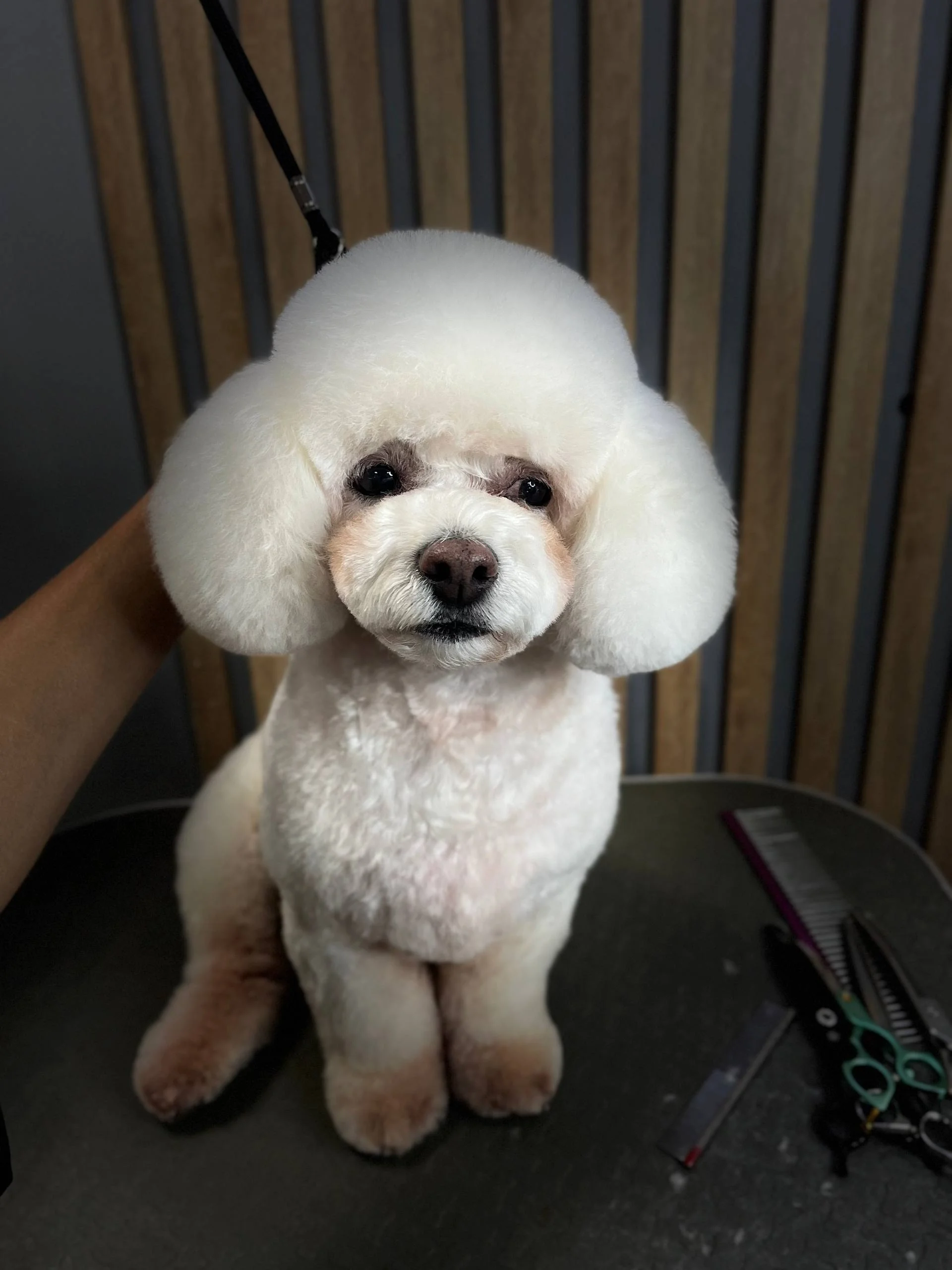 Изображение 9