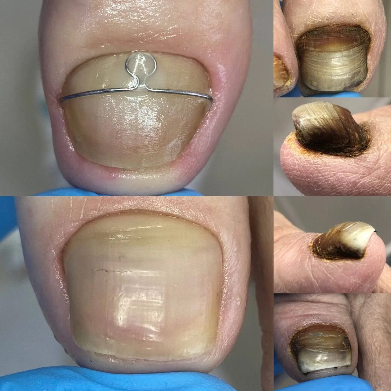 Русский подолог