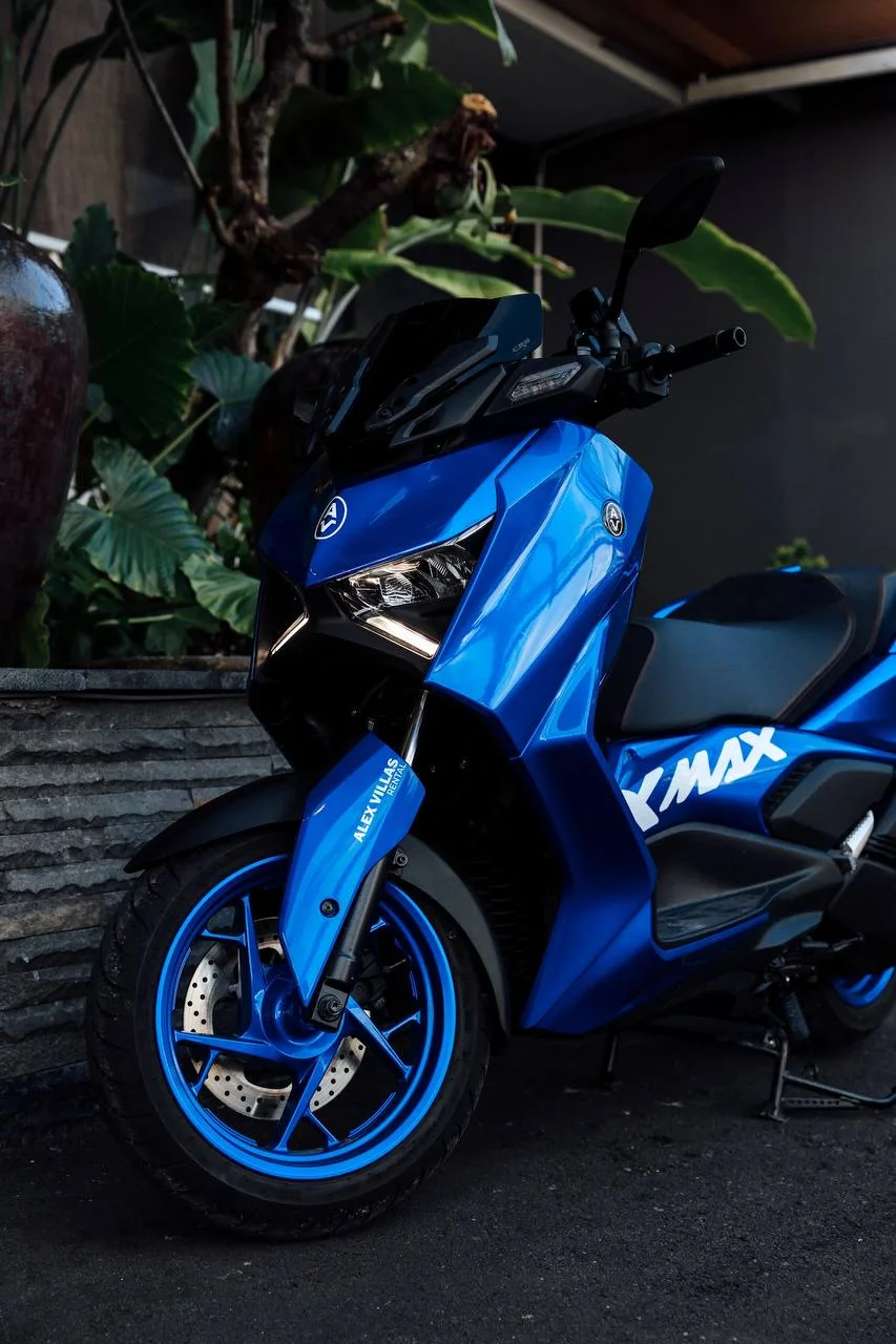 Изображение 3