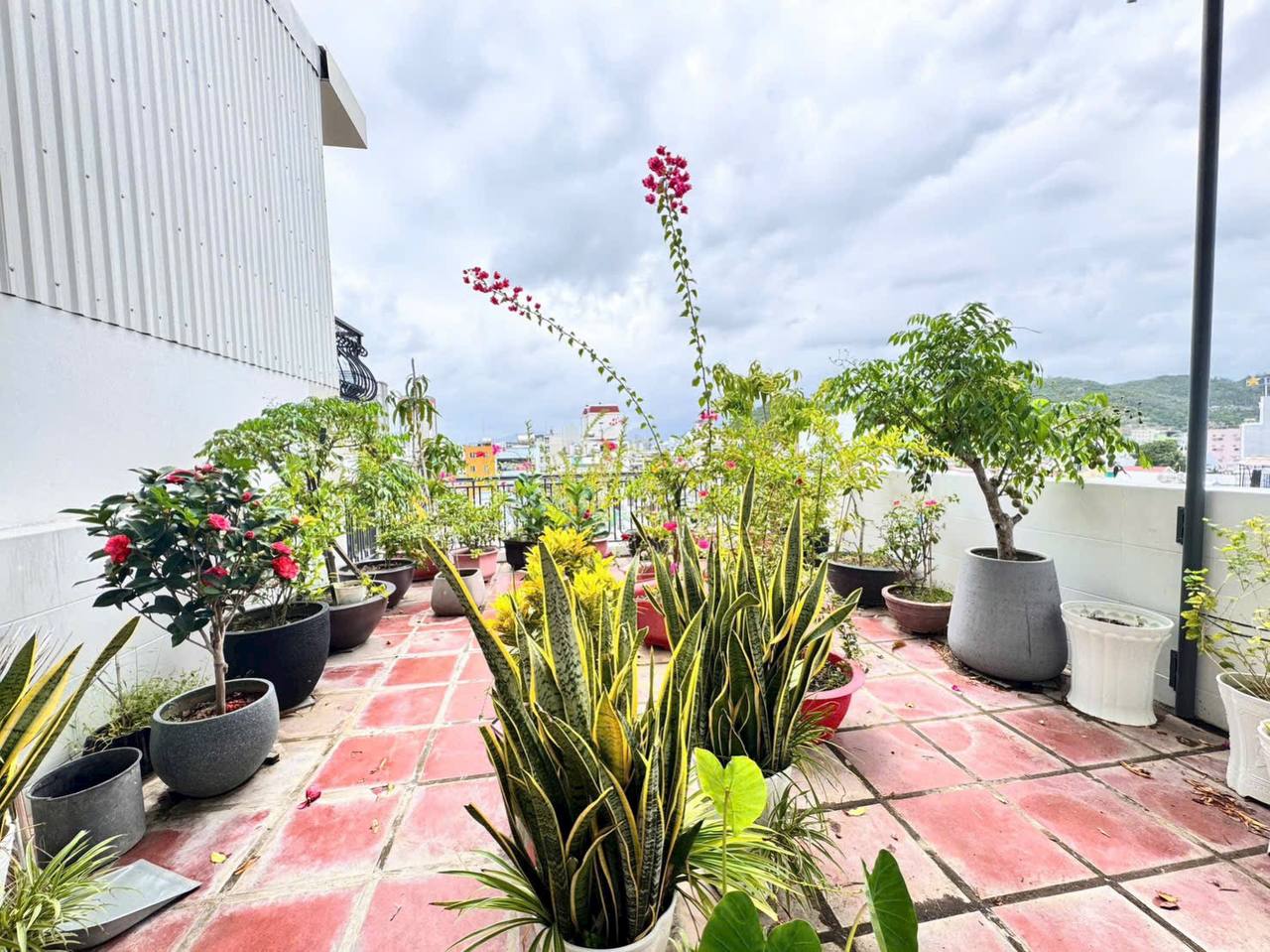 Изображение 8