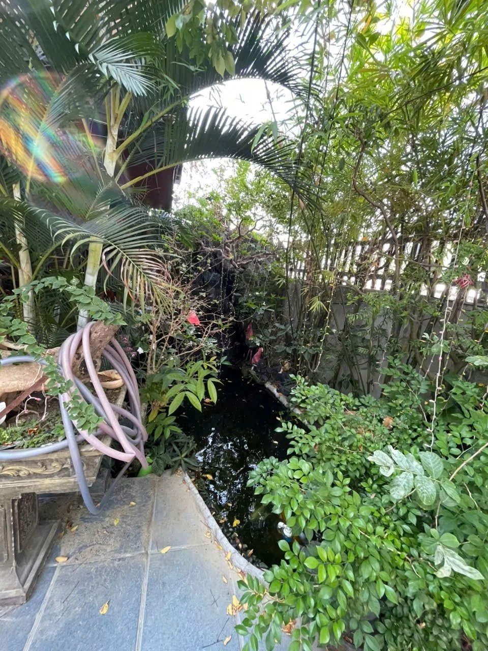 Изображение 7