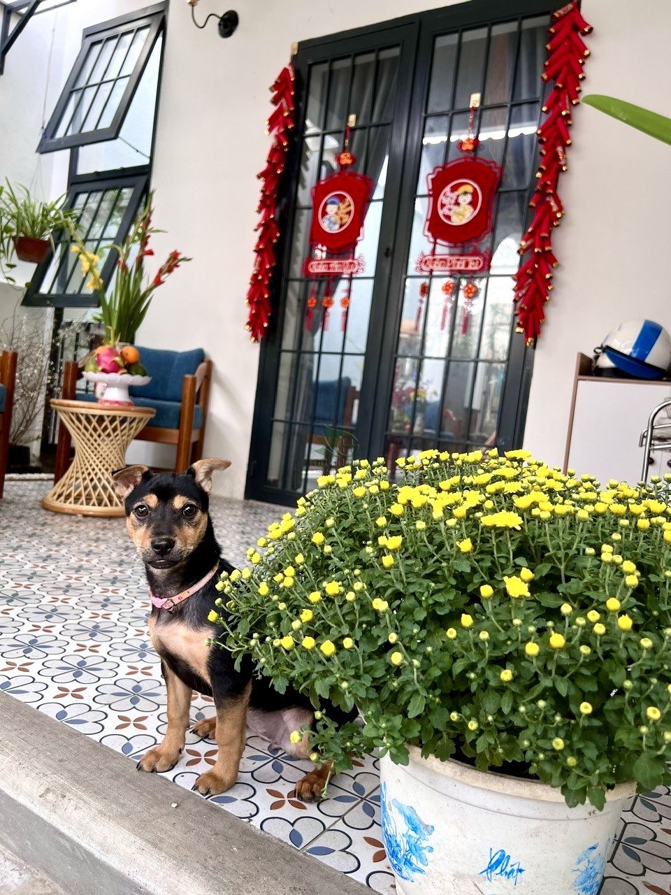 Изображение 6