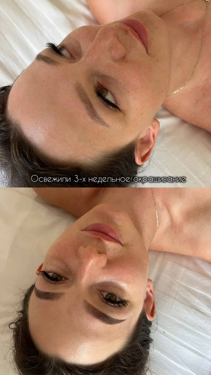 сертифицированный бровист-ламимейкер