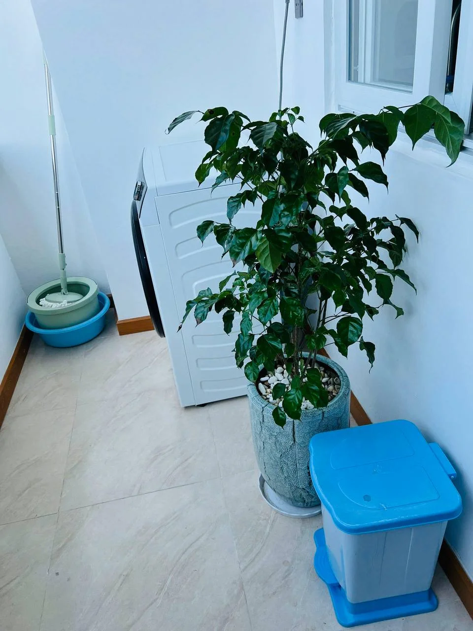 Изображение 7