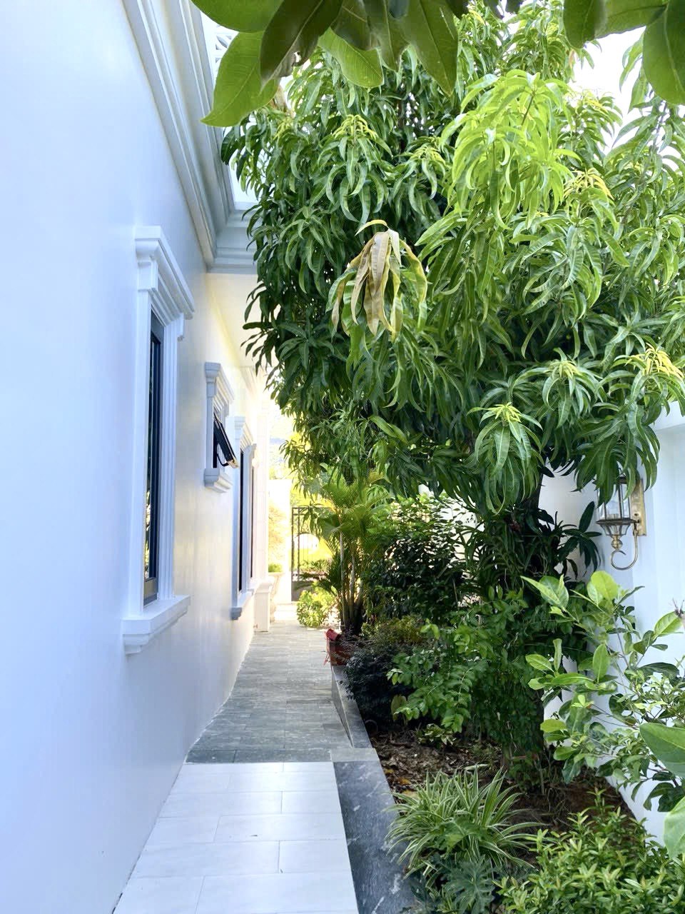 Изображение 7