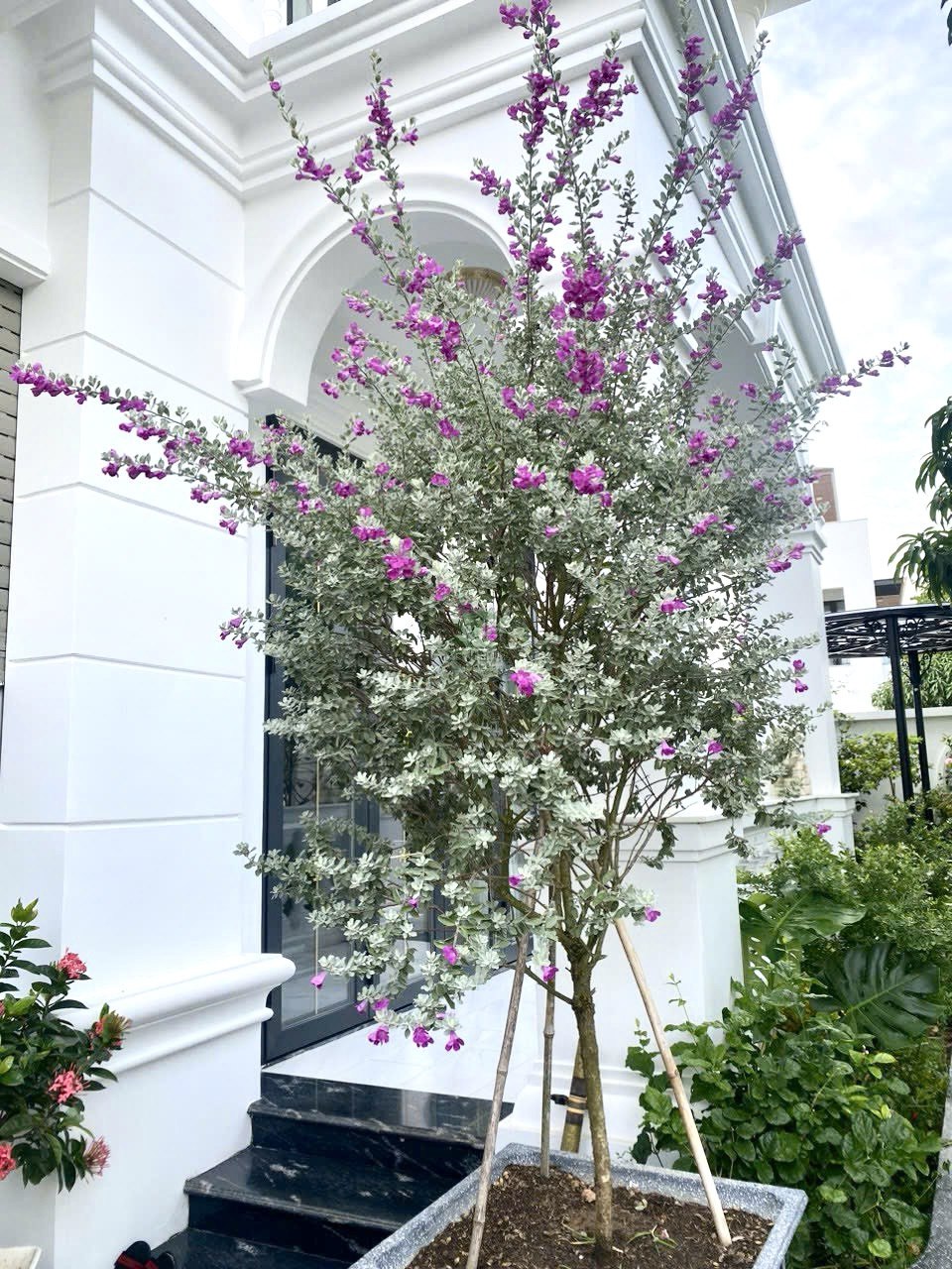 Изображение 6