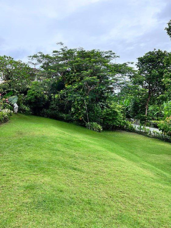 Изображение 7