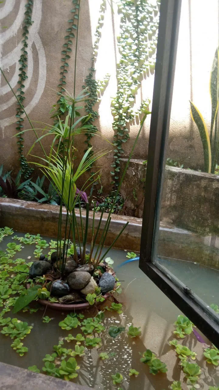 Изображение 7