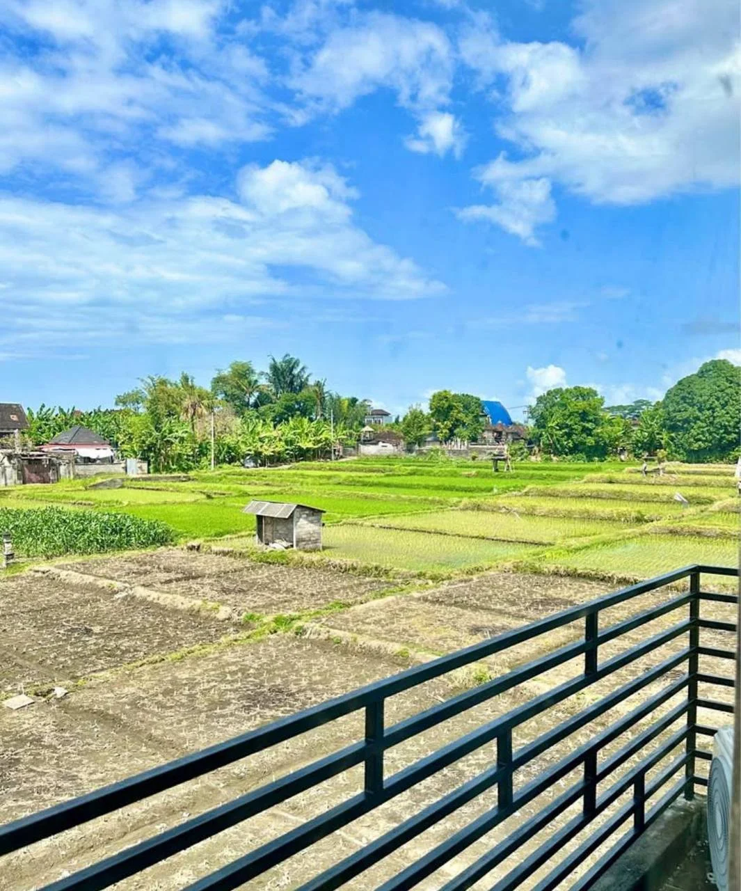 Изображение 7