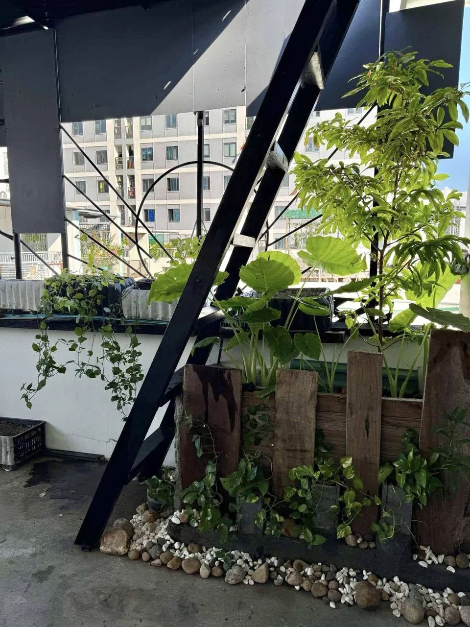 Изображение 8