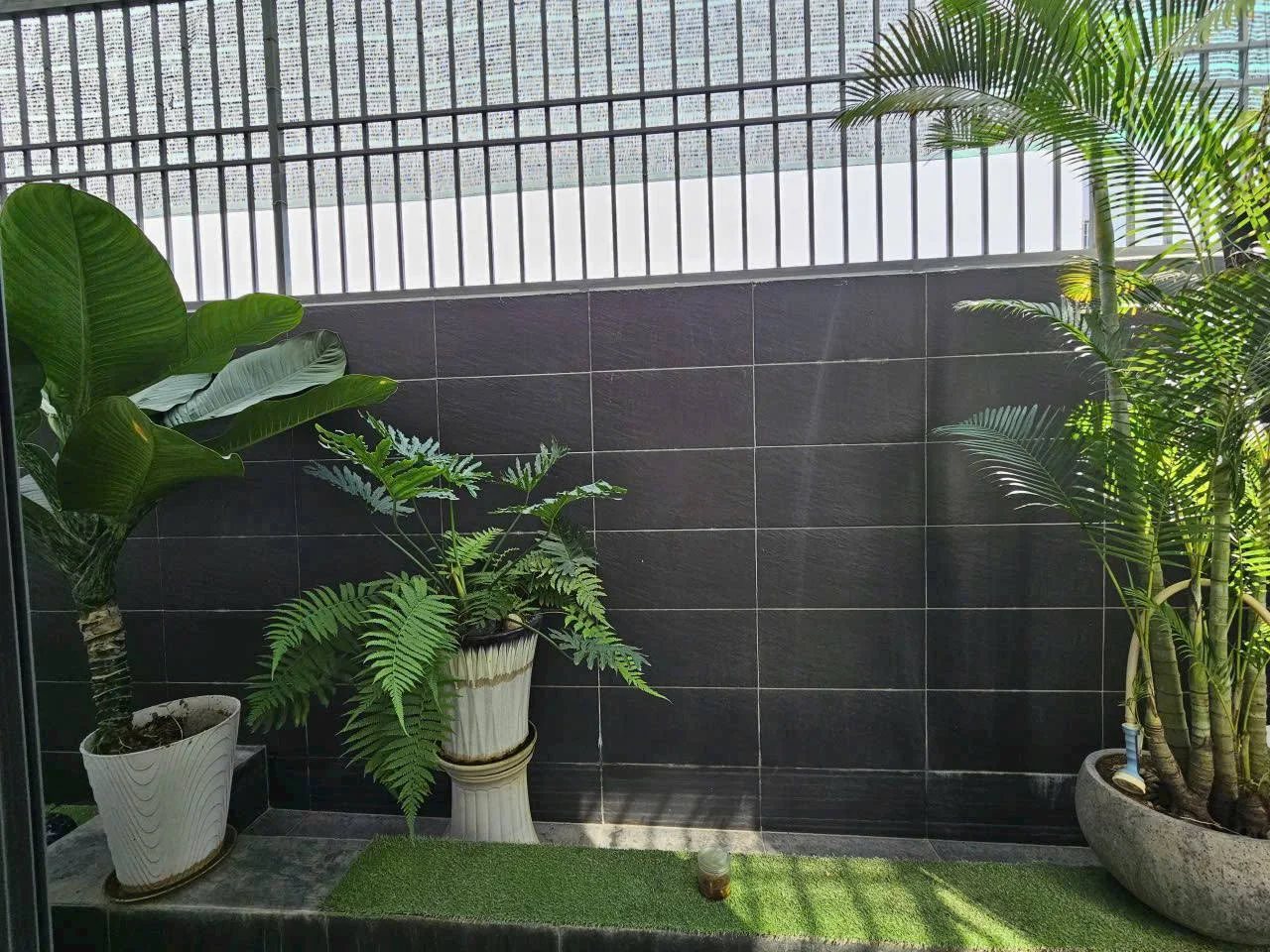 Изображение 9