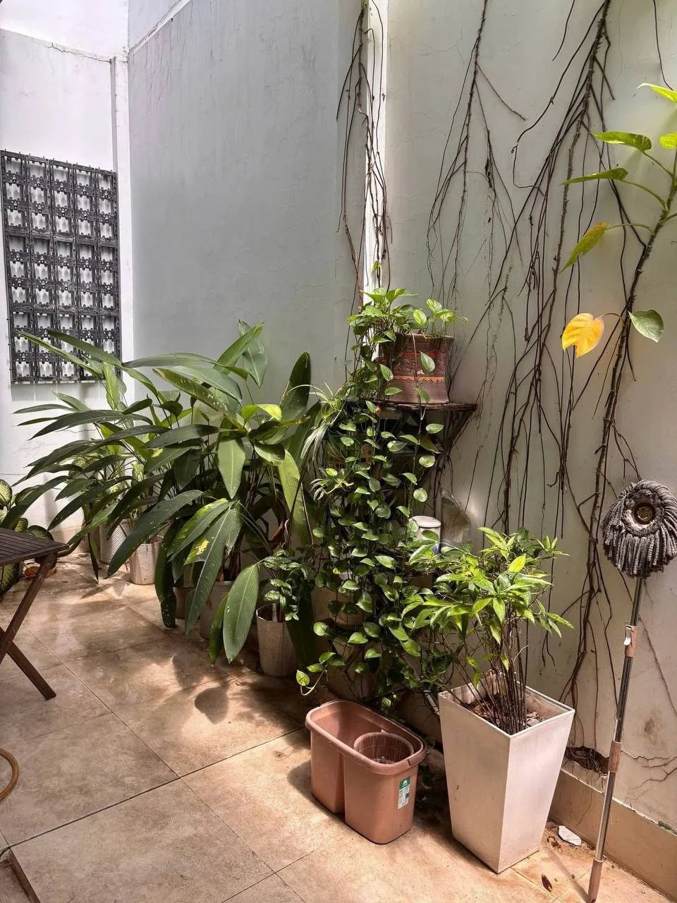 Изображение 7