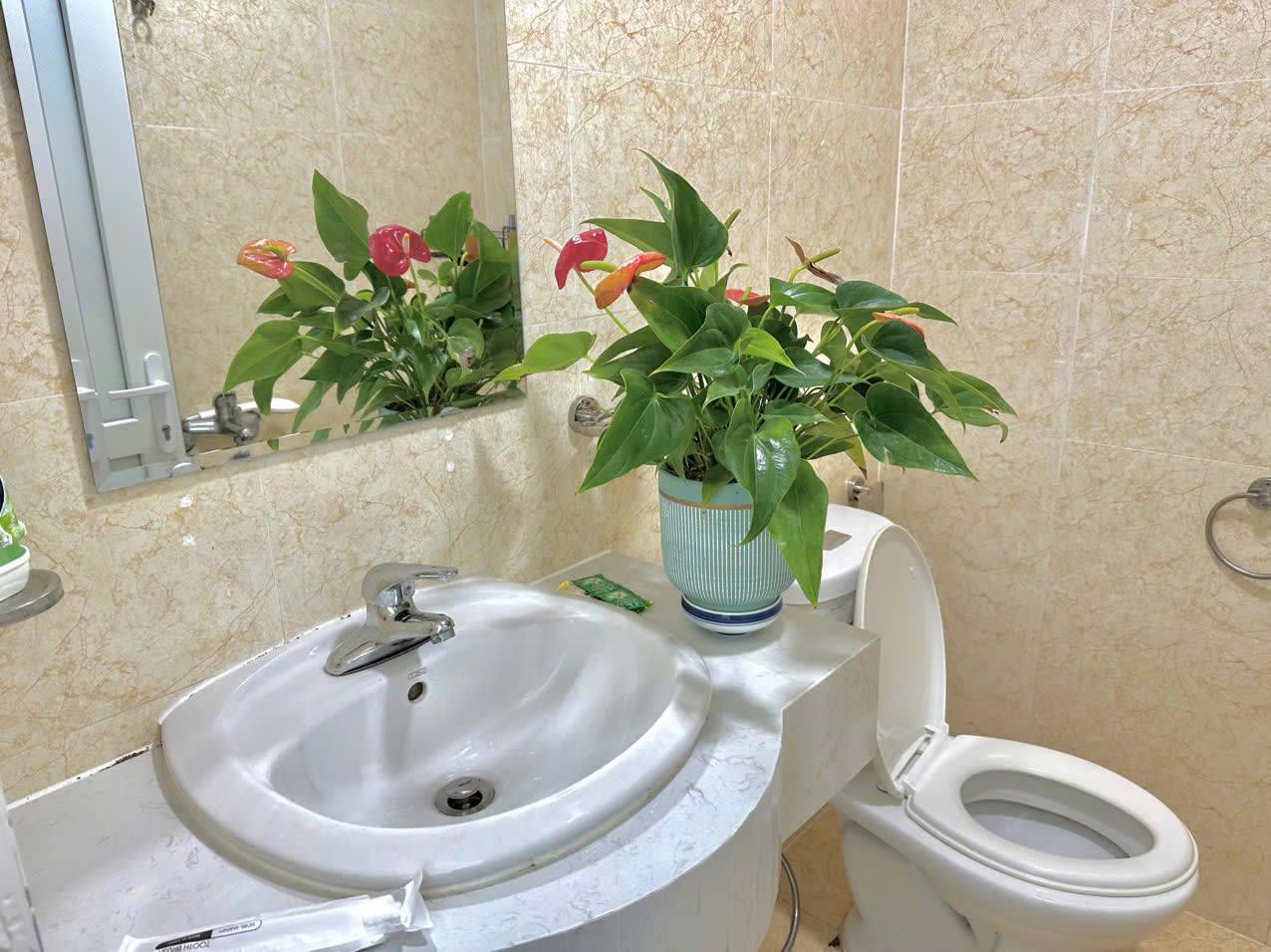 Изображение 8