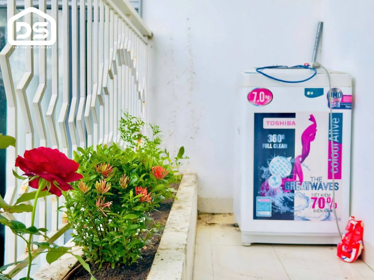 Изображение 8