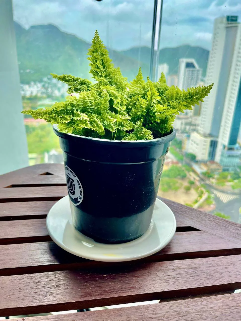 Изображение 7