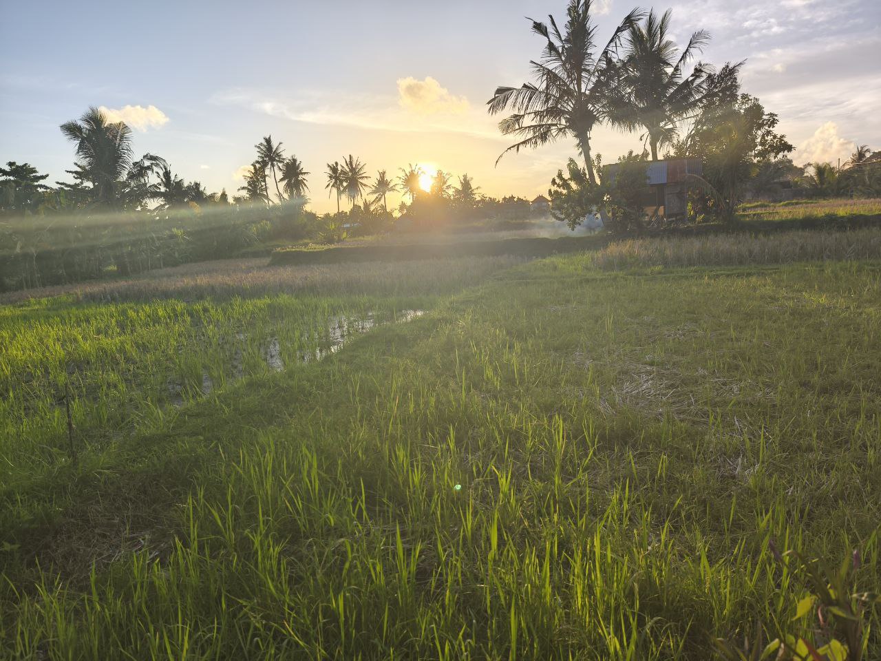 Изображение 8